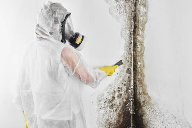 Water Damage Restoration in Marshville, NC