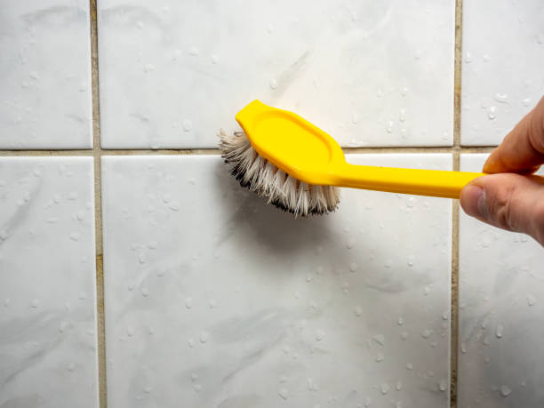 Best Mold Removal Near Me  in Marshville, NC