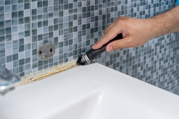 Best Emergency Mold Removal  in Marshville, NC